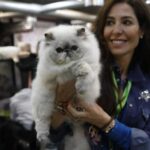 «Espacio Mascotas», una cita imprescindible si tienes un animal de compañía