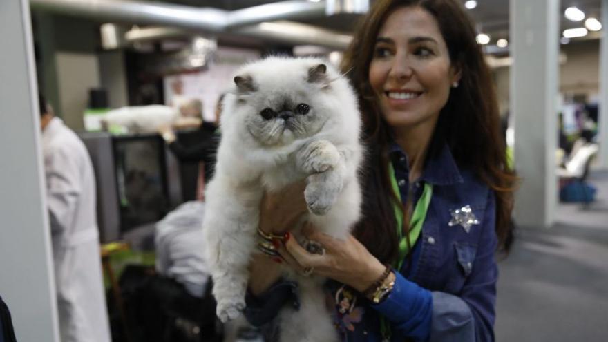 «Espacio Mascotas», una cita imprescindible si tienes un animal de compañía