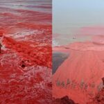 Cascada de ‘sangre’ en una playa de Irán