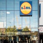 Cultiva tus propias plantas en casa: el producto de Lidl que arrasa en pisos pequeños