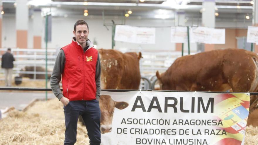 Un ganadero de Primera: El futbolista con tres ascensos que triunfa en el campo