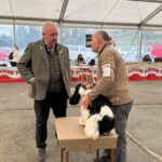 En imágenes: la trigésima Feria del Perro de Tineo se cierra con éxito