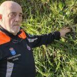 La velutina regresa en primavera: estos son los consejos de los expertos para luchar contra el avispón
