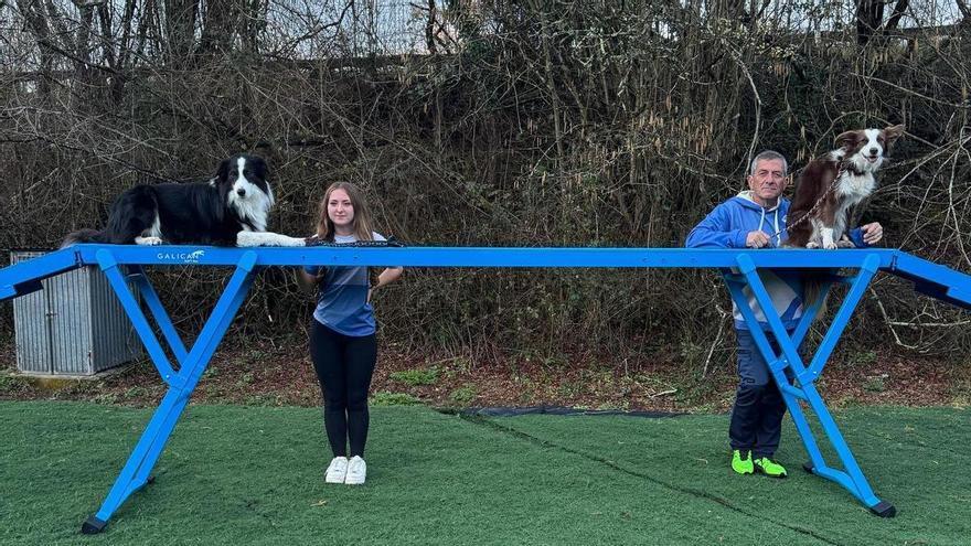 El club de Agility Evo Dog, recién llegado a El Remedio (Nava) ya cosecha sus primeros triunfos