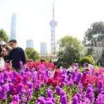 La nueva Guía de Shanghai en español destaca la presencia hispana y los vínculos entre China y los países hispanohablantes