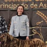 La mastín «Elba», de León, la perra del año en Tineo: pesa 65 kilos y destaca por «su alegre movimiento»