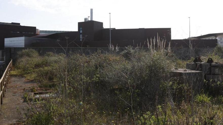 Carmen Moriyón urge al Puerto a acordar ya la cesión del suelo en Naval Gijón