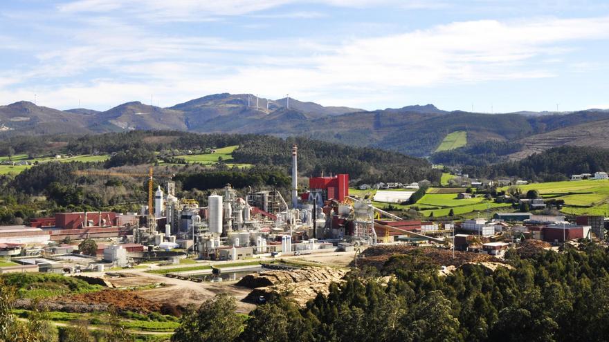 La fábrica de Ence en Navia usará polvo de madera en lugar de gas