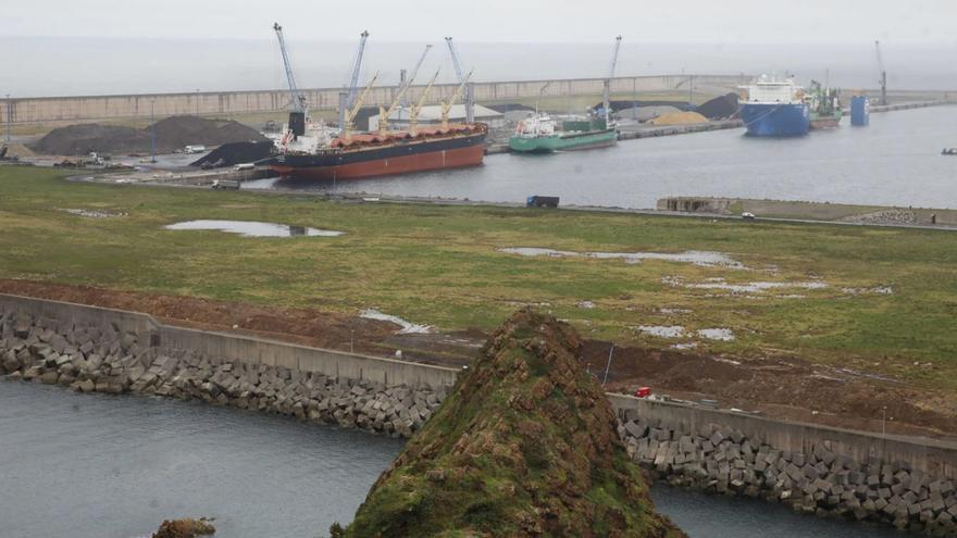 La importación de productos siderúrgicos en El Musel se redujo más de un 80 por ciento
