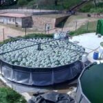 Desarrollan una tecnología para depurar aguas subterráneas contaminadas