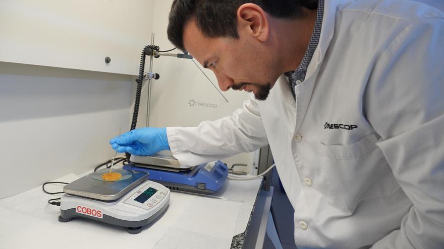 Mejillones con doble vida: un proyecto apuesta por transformar los residuos en bioestimulantes agrícolas