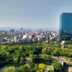 Crean un sistema de inteligencia artificial para cuidar los árboles urbanos sin tocar ni una hoja