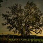 Los beneficios astronómicos del apagón