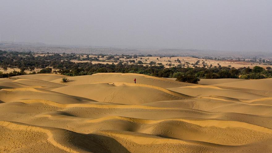 Un enorme desierto en Asia se está transformando en un vergel gracias al cambio climático