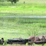 No habrá parque de baterías junto a la laguna de El Quérabu, en Ribadesella: vecinos y ecologistas, satisfechos