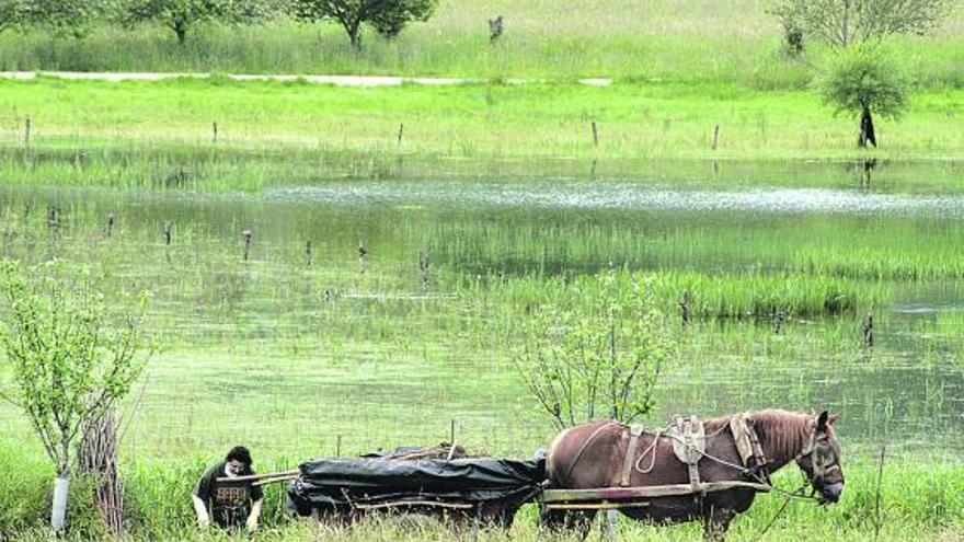 No habrá parque de baterías junto a la laguna de El Quérabu, en Ribadesella: vecinos y ecologistas, satisfechos