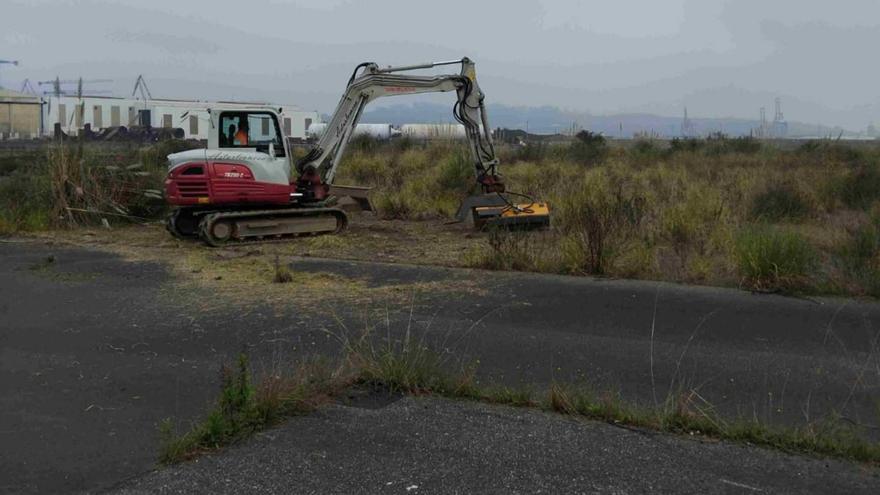 Gijón comienza las obras del paseo en su finca: las máquinas entran en Naval Azul, pero sin tocar la franja del Puerto