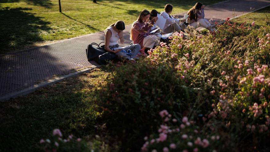 El Estado debe invertir más en las universidades públicas, donde funciona el ascensor social