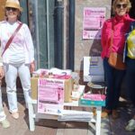 El colectivo Rosa Palo sale a la calle en Cangas de Onís