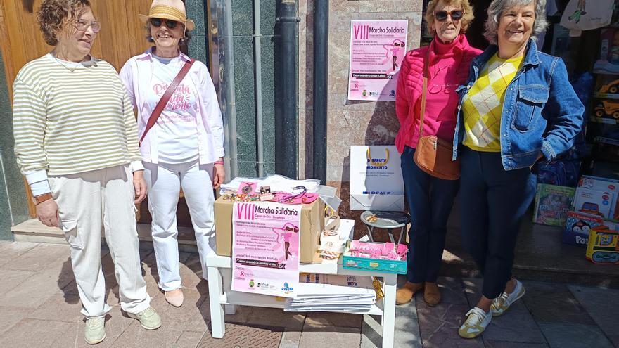 El colectivo Rosa Palo sale a la calle en Cangas de Onís