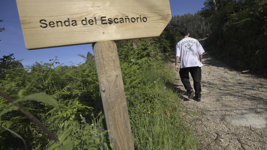 EN IMÁGENES: Así es el oasis natural de Corvera, la senda del Escañorio