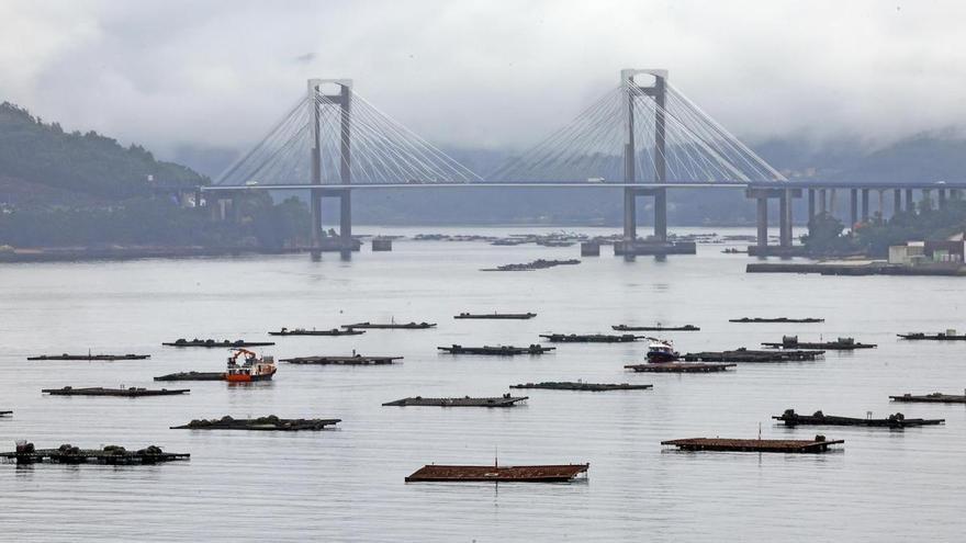 Un problema en el fondo de las bateas
