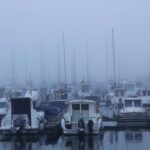 ¿Por qué estos días hay tanta niebla (y densa) en Asturias? Lo explica un meteorólogo de la Aemet