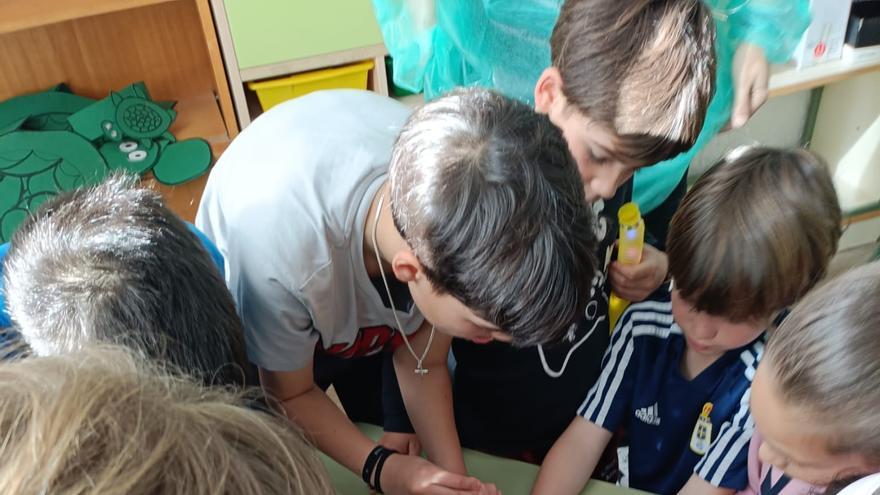 Juegos, retos y creatividad para trabajar los contenidos educativos en el Matemático Pedrayes de Lastres