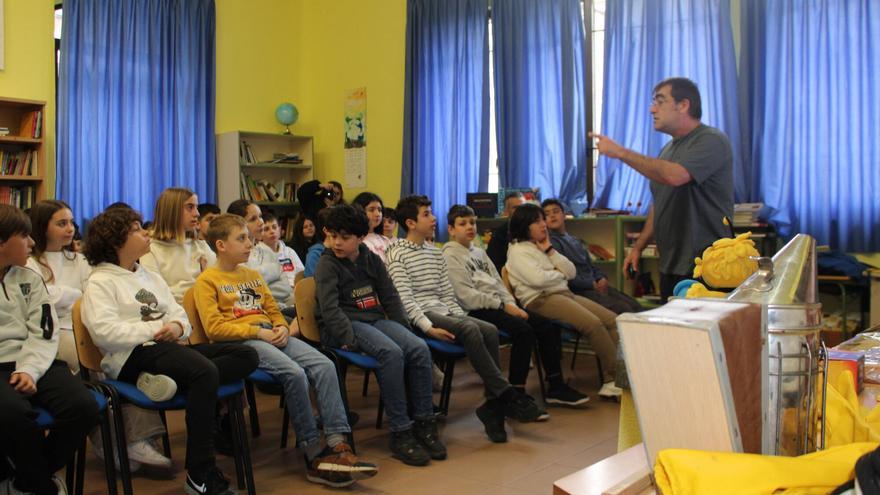 Asturias, con la miel en los labios: los apicultores buscan el relevo generacional en los colegios