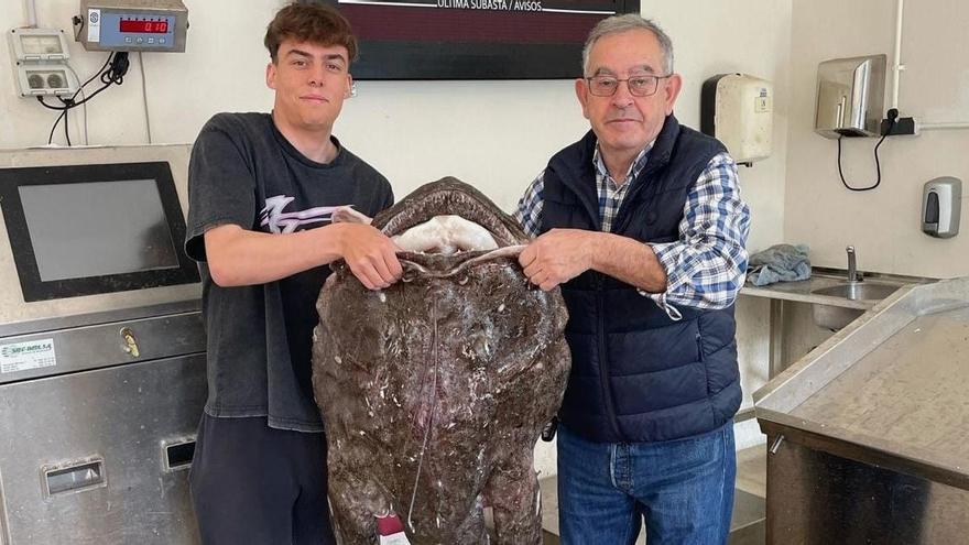 Un pixín gigante, de 28 kilos, asombra en Tazones: «Es espectacular, nunca pesqué uno tan grande»