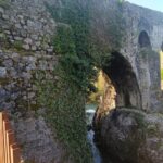 Las malas hierbas del puente romano