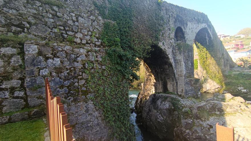 Las malas hierbas del puente romano