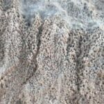 Una forma de vida desconocida en la Tierra generó extraños agujeros en el desierto