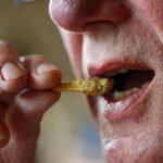 Gusanos, grillos o escarabajos: por qué los expertos recomiendan incluir insectos en nuestra dieta