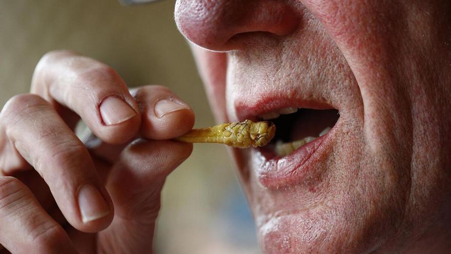 Gusanos, grillos o escarabajos: por qué los expertos recomiendan incluir insectos en nuestra dieta