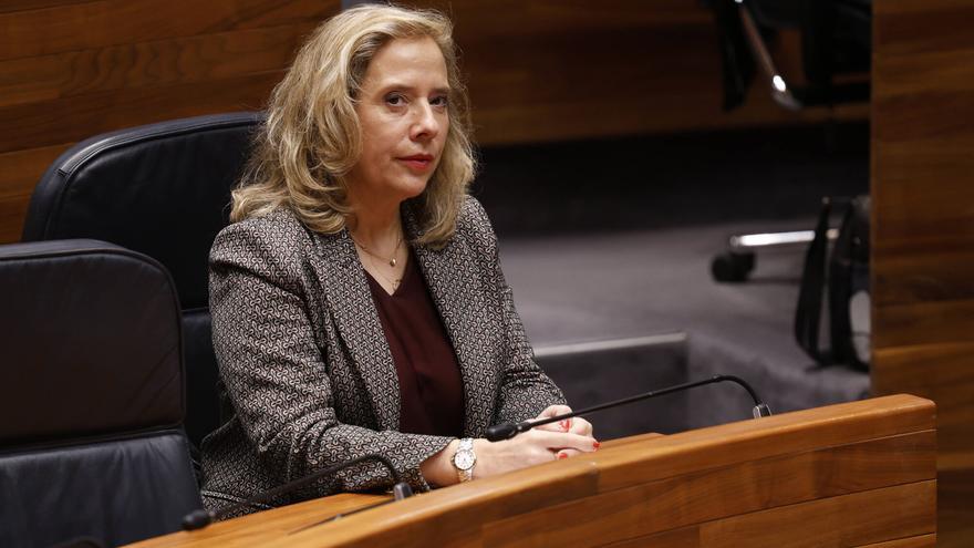 La consejera de Industria, sobre la previsible investigación en la Junta: «Máximo respeto»