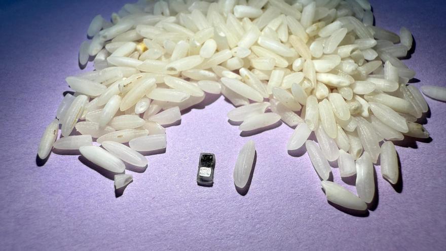 Diseñan el marcapasos más pequeño del mundo: del tamaño de un grano de arroz y capaz de autodisolverse cuando ya no es útil