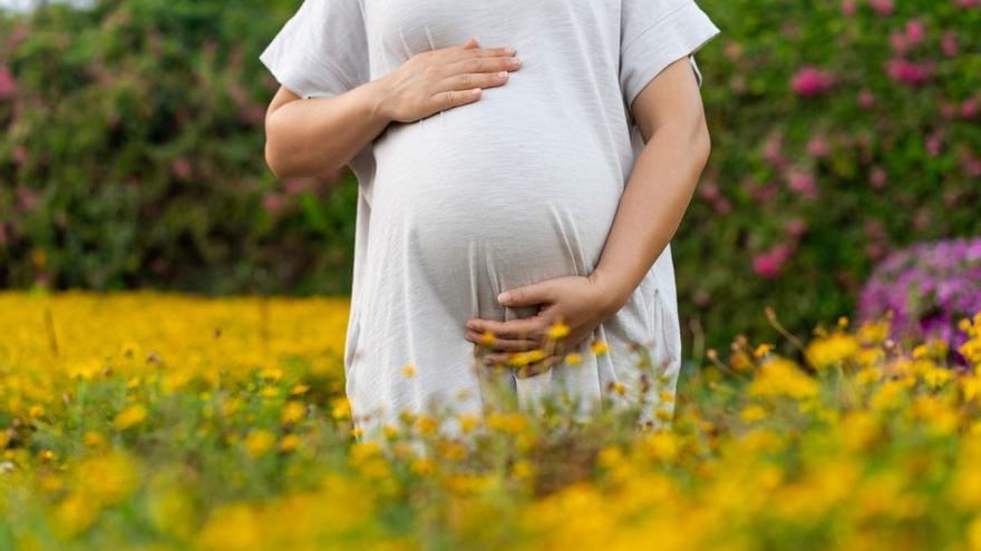 La maternidad tardía y la baja fertilidad en países avanzados provocará un fuerte impacto económico y social, según Ivirma
