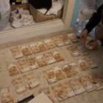 Golpe de la Policía y la Guardia Civil al mercado negro de anabolizantes