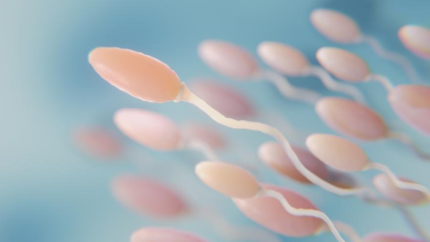 ¿Puedes tener alergia al semen? Descubre los síntomas, riesgos y cómo tratar esta desconocida enfermedad