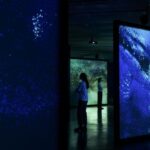 La IA rompe la barrera más antigua del lenguaje: la que separa a los humanos de las demás especies