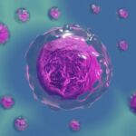 Descubren una ruta celular que multiplica 23 veces la potencia de los tratamientos contra el cáncer