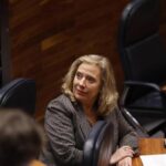 La Consejera de Industria se defiende ante las dudas de la oposición: «Si hubiese tenido un informe sobre la mina, hubiese actuado»