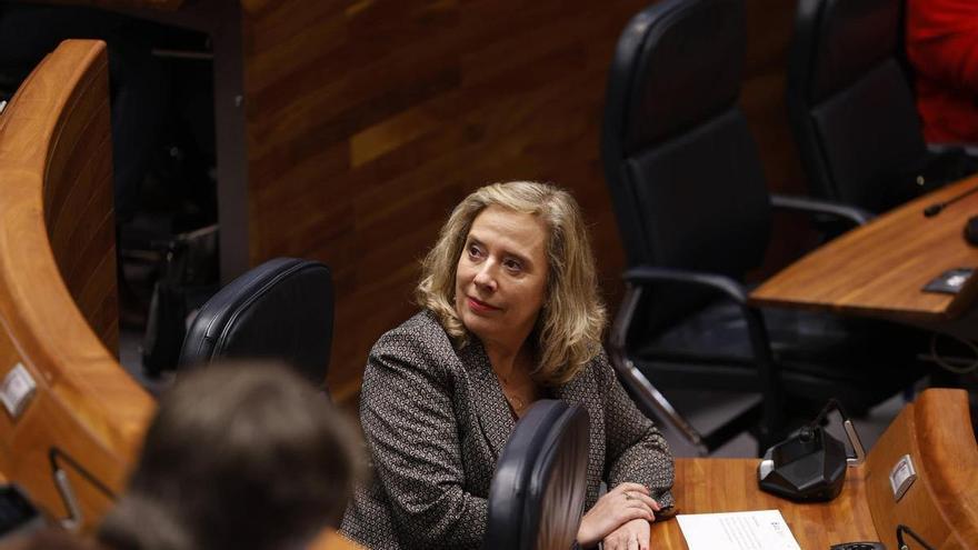 La Consejera de Industria se defiende ante las dudas de la oposición: «Si hubiese tenido un informe sobre la mina, hubiese actuado»