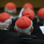El sexteto de cardenales que intentó atenazar al Papa Francisco: tres se murieron el mismo año y dos votarán en el cónclave