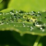 Desarrollan un sistema para generar electricidad con agua de lluvia