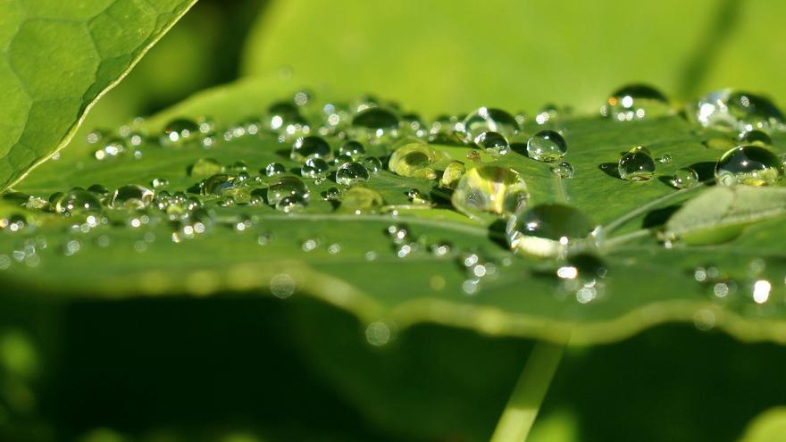 Desarrollan un sistema para generar electricidad con agua de lluvia