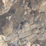 Fotografiar al fantasma del Himalaya: El sueño cumplido del español Óliver Martínez