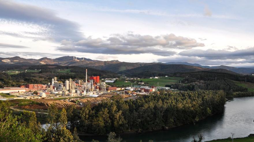 Los pañales de Europa serán ´made in` Asturias gracias a Ence