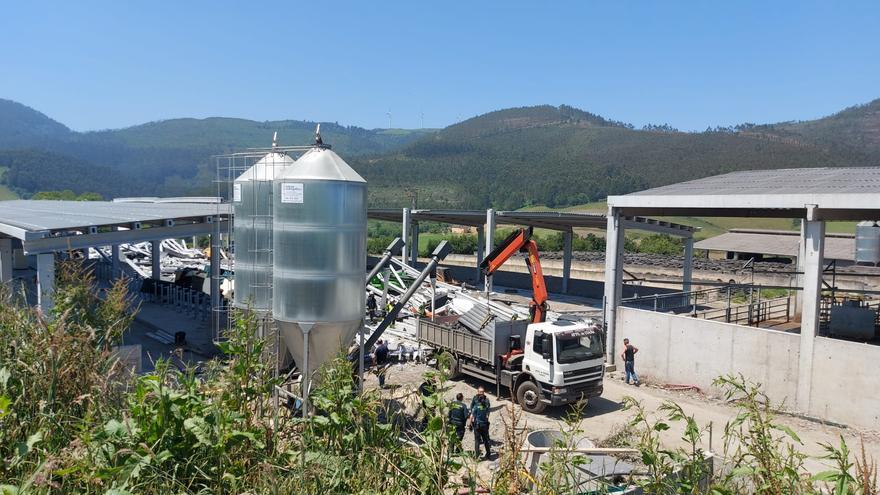 Tres fallecidos y tres heridos tras colapsar una nave agrícola en obras en Coaña: «Se escuchó el estruendo a 300 metros»
